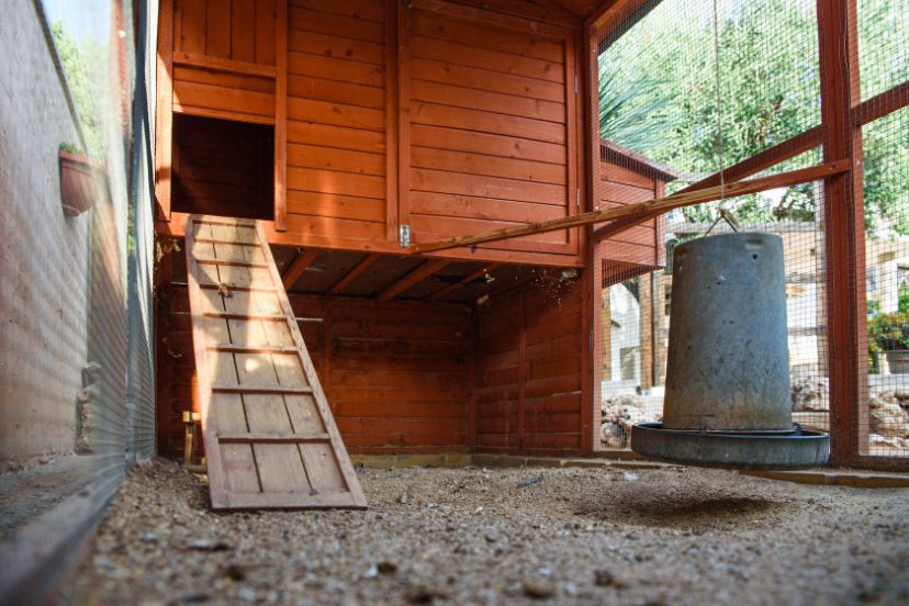 chicken coop run