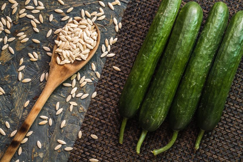 cucumber seeds